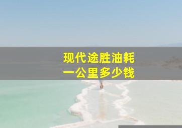 现代途胜油耗一公里多少钱