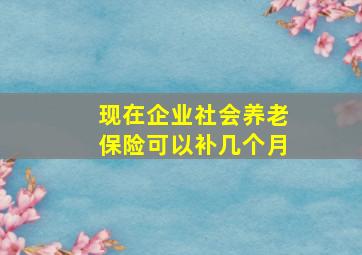 现在企业社会养老保险可以补几个月