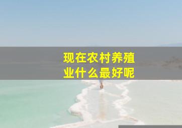 现在农村养殖业什么最好呢