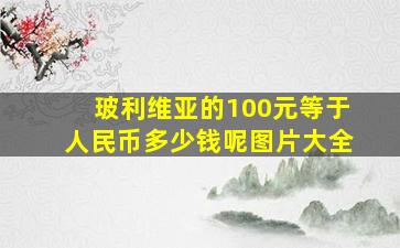 玻利维亚的100元等于人民币多少钱呢图片大全