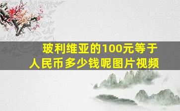 玻利维亚的100元等于人民币多少钱呢图片视频