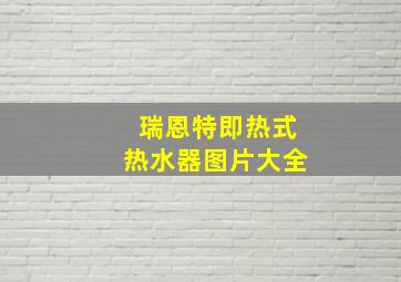 瑞恩特即热式热水器图片大全