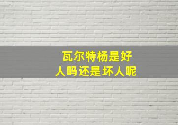 瓦尔特杨是好人吗还是坏人呢