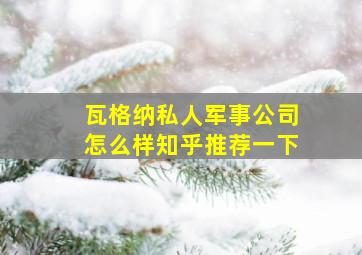 瓦格纳私人军事公司怎么样知乎推荐一下