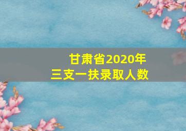 甘肃省2020年三支一扶录取人数