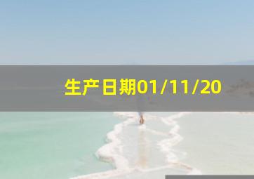 生产日期01/11/20