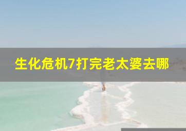 生化危机7打完老太婆去哪