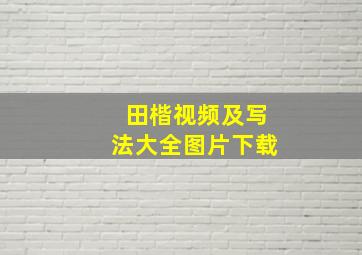 田楷视频及写法大全图片下载