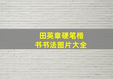 田英章硬笔楷书书法图片大全