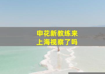 申花新教练来上海视察了吗