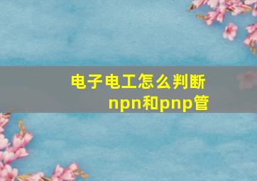 电子电工怎么判断npn和pnp管