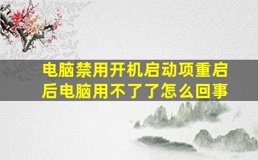 电脑禁用开机启动项重启后电脑用不了了怎么回事