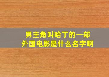 男主角叫哈丁的一部外国电影是什么名字啊