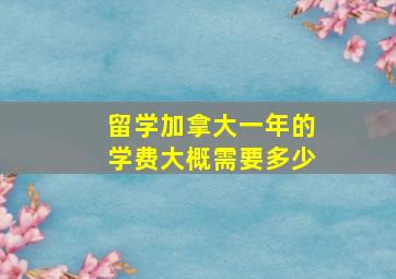 留学加拿大一年的学费大概需要多少