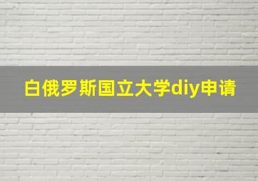 白俄罗斯国立大学diy申请