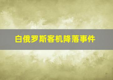 白俄罗斯客机降落事件