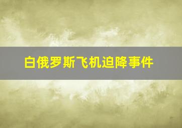 白俄罗斯飞机迫降事件