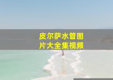 皮尔萨水管图片大全集视频