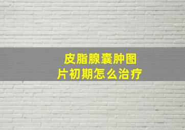 皮脂腺囊肿图片初期怎么治疗