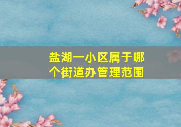 盐湖一小区属于哪个街道办管理范围