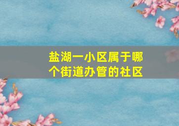 盐湖一小区属于哪个街道办管的社区