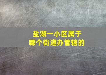 盐湖一小区属于哪个街道办管辖的