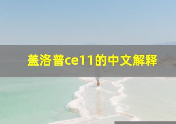 盖洛普ce11的中文解释