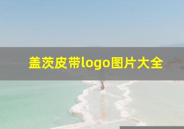 盖茨皮带logo图片大全