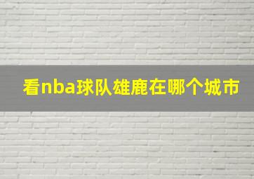 看nba球队雄鹿在哪个城市