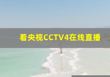 看央视CCTV4在线直播