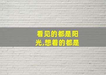 看见的都是阳光,想着的都是