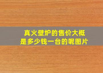 真火壁炉的售价大概是多少钱一台的呢图片