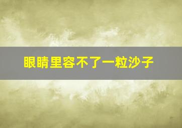 眼睛里容不了一粒沙子