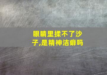 眼睛里揉不了沙子,是精神洁癖吗