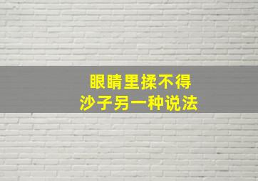 眼睛里揉不得沙子另一种说法