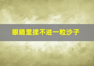 眼睛里揉不进一粒沙子