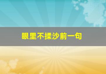 眼里不揉沙前一句