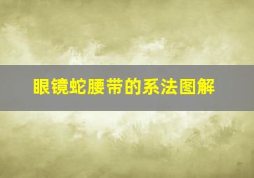 眼镜蛇腰带的系法图解