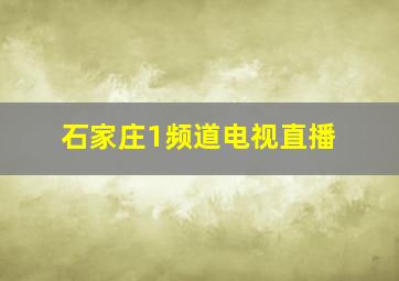 石家庄1频道电视直播