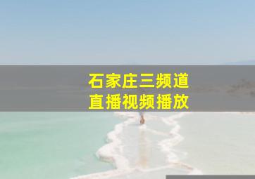 石家庄三频道直播视频播放