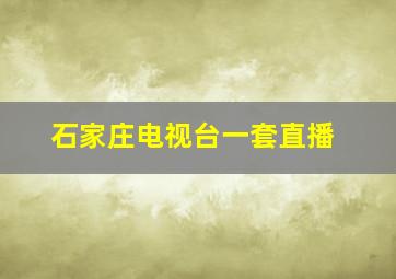 石家庄电视台一套直播