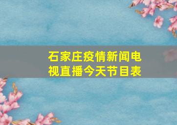 石家庄疫情新闻电视直播今天节目表