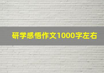 研学感悟作文1000字左右