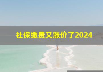 社保缴费又涨价了2024