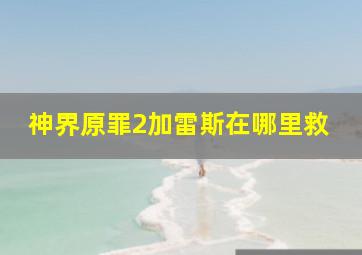 神界原罪2加雷斯在哪里救