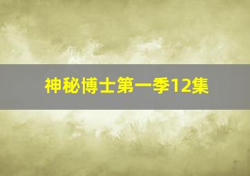 神秘博士第一季12集