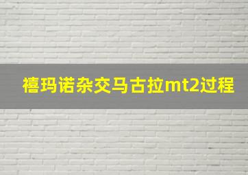 禧玛诺杂交马古拉mt2过程