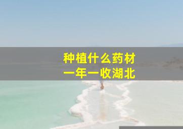 种植什么药材一年一收湖北