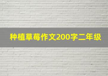 种植草莓作文200字二年级