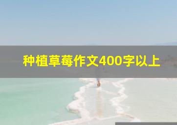 种植草莓作文400字以上